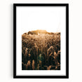Golden Wheat Field at Sunrise | Farmhouse Rustic Wall Art
