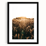 Golden Wheat Field at Sunrise | Farmhouse Rustic Wall Art