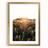 Golden Wheat Field at Sunrise | Farmhouse Rustic Wall Art