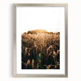 Golden Wheat Field at Sunrise | Farmhouse Rustic Wall Art
