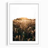 Golden Wheat Field at Sunrise | Farmhouse Rustic Wall Art