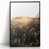 Golden Wheat Field at Sunrise | Farmhouse Rustic Wall Art