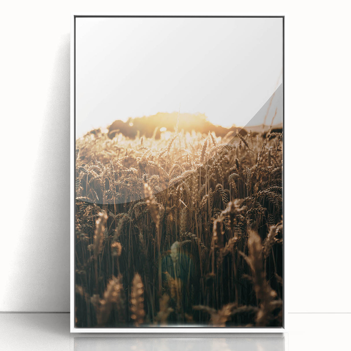 Golden Wheat Field at Sunrise | Farmhouse Rustic Wall Art