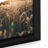 Golden Wheat Field at Sunrise | Farmhouse Rustic Wall Art