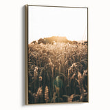Golden Wheat Field at Sunrise | Farmhouse Rustic Wall Art