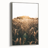 Golden Wheat Field at Sunrise | Farmhouse Rustic Wall Art
