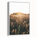Golden Wheat Field at Sunrise | Farmhouse Rustic Wall Art