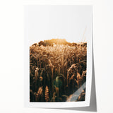 Golden Wheat Field at Sunrise | Farmhouse Rustic Wall Art