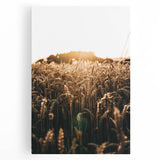 Golden Wheat Field at Sunrise | Farmhouse Rustic Wall Art