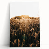 Golden Wheat Field at Sunrise | Farmhouse Rustic Wall Art
