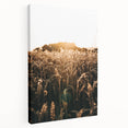 Golden Wheat Field at Sunrise | Farmhouse Rustic Wall Art