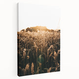 Golden Wheat Field at Sunrise | Farmhouse Rustic Wall Art