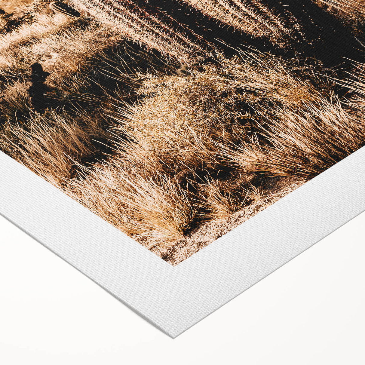 Rustic Farmhouse Wall Art - Desert Cacti Landscape | Country Style Decor