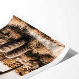 Rustic Farmhouse Wall Art - Desert Cacti Landscape | Country Style Decor