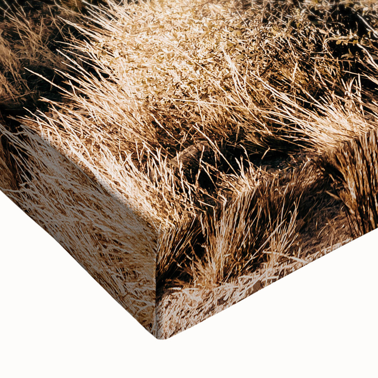 Rustic Farmhouse Wall Art - Desert Cacti Landscape | Country Style Decor
