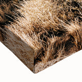 Rustic Farmhouse Wall Art - Desert Cacti Landscape | Country Style Decor