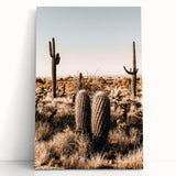 Rustic Farmhouse Wall Art - Desert Cacti Landscape | Country Style Decor