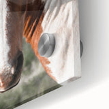 Farmhouse Wall Art of Majestic Horse – Rustic Farmhouse Style Decor