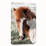 Farmhouse Wall Art of Majestic Horse – Rustic Farmhouse Style Decor