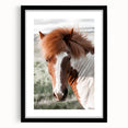 Farmhouse Wall Art of Majestic Horse – Rustic Farmhouse Style Decor
