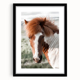 Farmhouse Wall Art of Majestic Horse – Rustic Farmhouse Style Decor