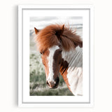 Farmhouse Wall Art of Majestic Horse – Rustic Farmhouse Style Decor
