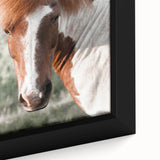 Farmhouse Wall Art of Majestic Horse – Rustic Farmhouse Style Decor