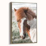 Farmhouse Wall Art of Majestic Horse – Rustic Farmhouse Style Decor