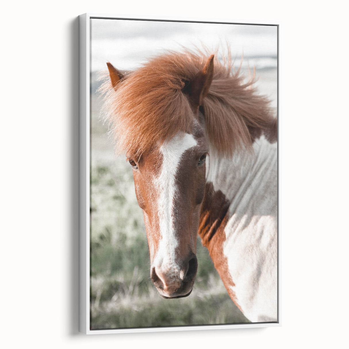 Farmhouse Wall Art of Majestic Horse – Rustic Farmhouse Style Decor