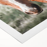 Farmhouse Wall Art of Majestic Horse – Rustic Farmhouse Style Decor