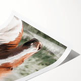 Farmhouse Wall Art of Majestic Horse – Rustic Farmhouse Style Decor