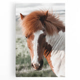 Farmhouse Wall Art of Majestic Horse – Rustic Farmhouse Style Decor