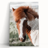 Farmhouse Wall Art of Majestic Horse – Rustic Farmhouse Style Decor