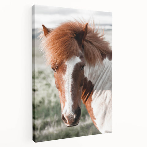 Farmhouse Wall Art of Majestic Horse – Rustic Farmhouse Style Decor