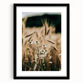 Rustic Farmhouse Decor of Wheat and Daisies – Country Style Wall Art