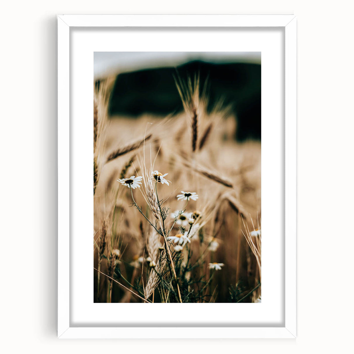Rustic Farmhouse Decor of Wheat and Daisies – Country Style Wall Art
