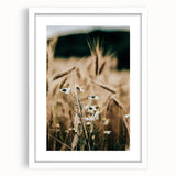 Rustic Farmhouse Decor of Wheat and Daisies – Country Style Wall Art