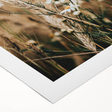 Rustic Farmhouse Decor of Wheat and Daisies – Country Style Wall Art