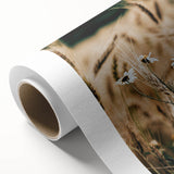 Rustic Farmhouse Decor of Wheat and Daisies – Country Style Wall Art