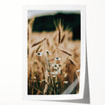 Rustic Farmhouse Decor of Wheat and Daisies – Country Style Wall Art