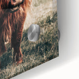 Farmhouse Wall Art of Highland Cow – Rustic Country Style Decor