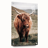 Farmhouse Wall Art of Highland Cow – Rustic Country Style Decor