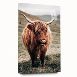 Farmhouse Wall Art of Highland Cow – Rustic Country Style Decor
