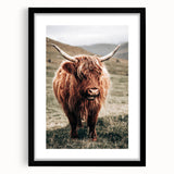 Farmhouse Wall Art of Highland Cow – Rustic Country Style Decor