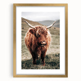 Farmhouse Wall Art of Highland Cow – Rustic Country Style Decor
