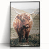 Farmhouse Wall Art of Highland Cow – Rustic Country Style Decor