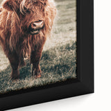 Farmhouse Wall Art of Highland Cow – Rustic Country Style Decor