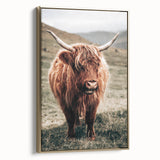 Farmhouse Wall Art of Highland Cow – Rustic Country Style Decor