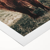 Farmhouse Wall Art of Highland Cow – Rustic Country Style Decor