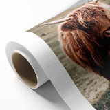 Farmhouse Wall Art of Highland Cow – Rustic Country Style Decor